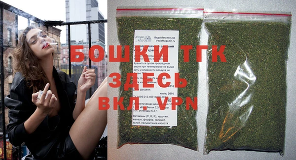 сатива Белокуриха