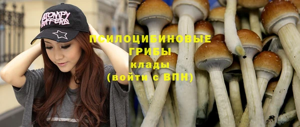 сатива Белокуриха